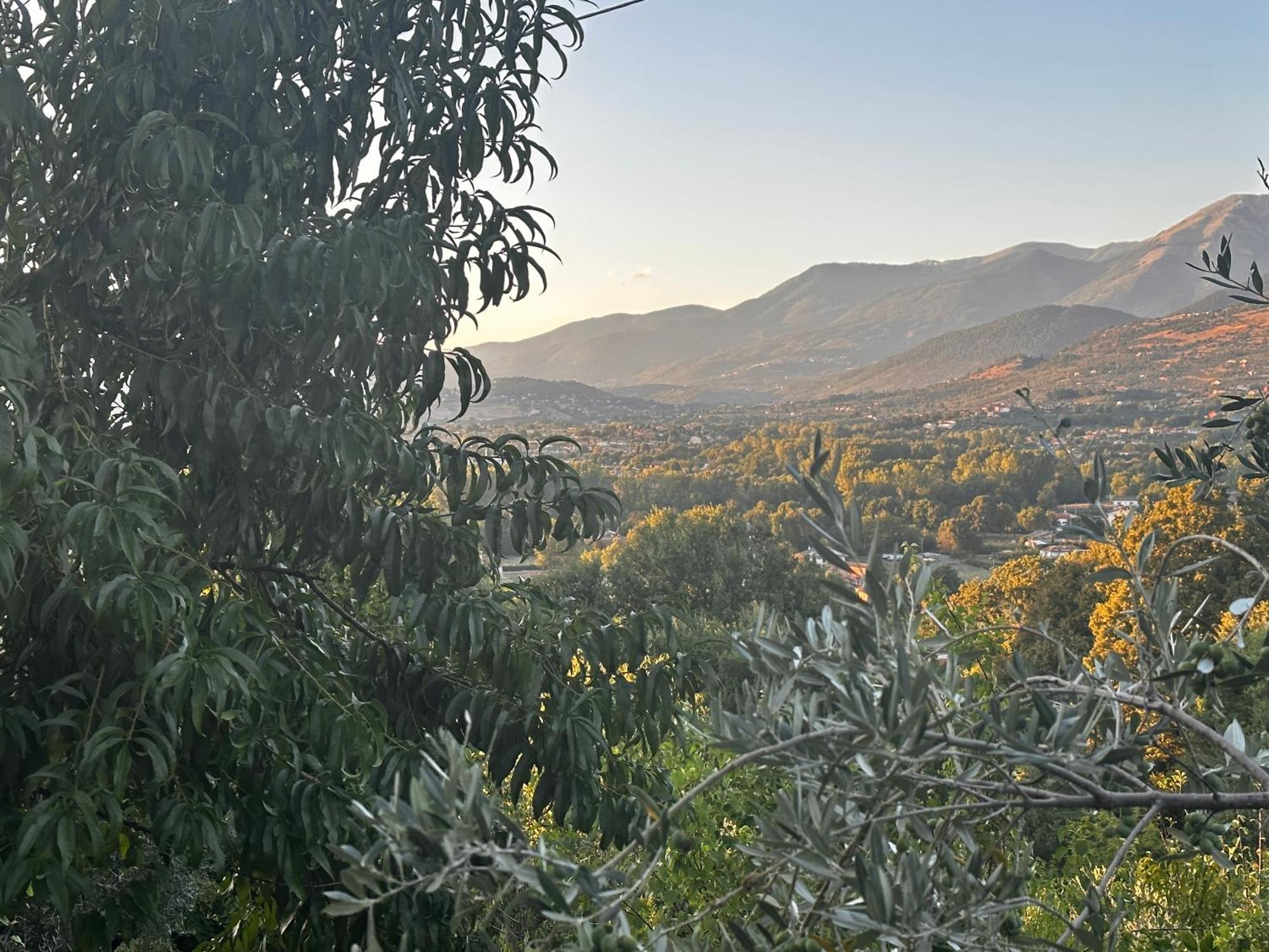 La Casa In Collina Lägenhet Veroli Exteriör bild