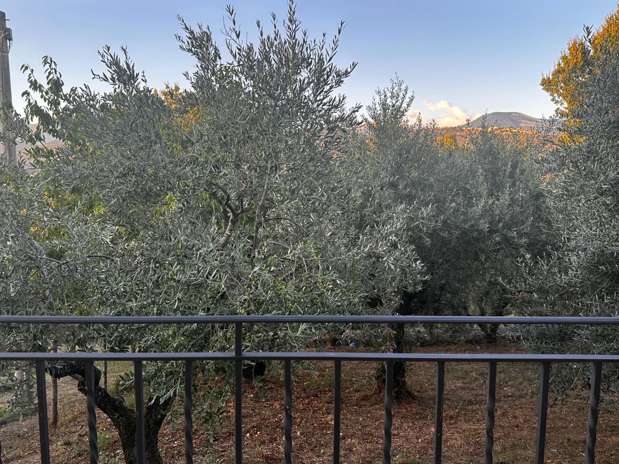 La Casa In Collina Lägenhet Veroli Exteriör bild